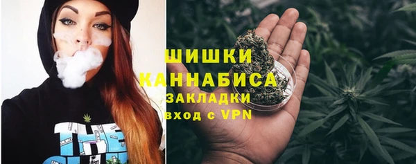 стаф Новокубанск