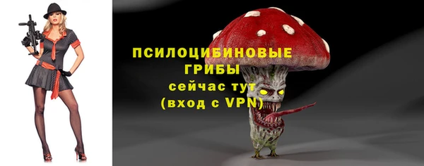 марихуана Новодвинск