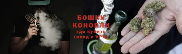 стаф Новокубанск