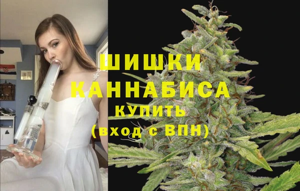 стаф Новокубанск
