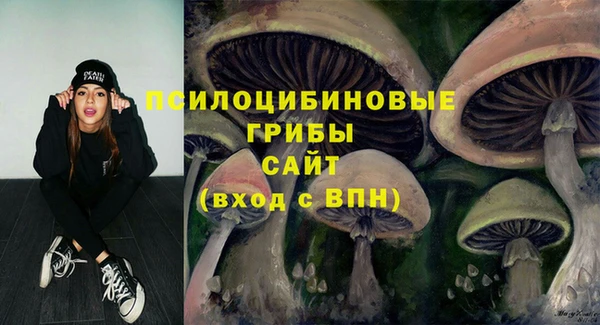 COCAINE Новозыбков