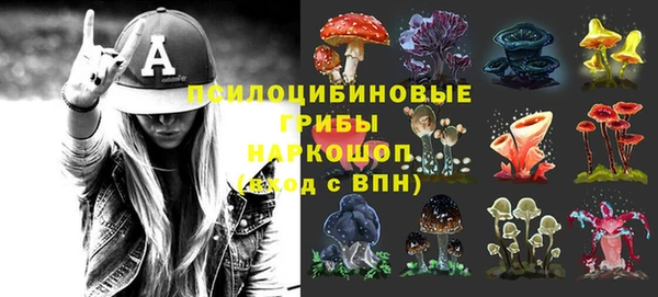 стаф Новокубанск