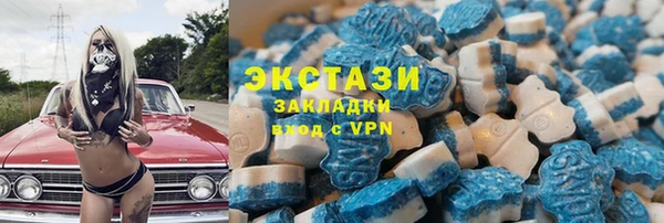 стаф Новокубанск
