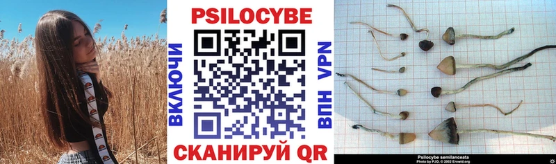 Галлюциногенные грибы GOLDEN TEACHER  наркошоп  Ужур 